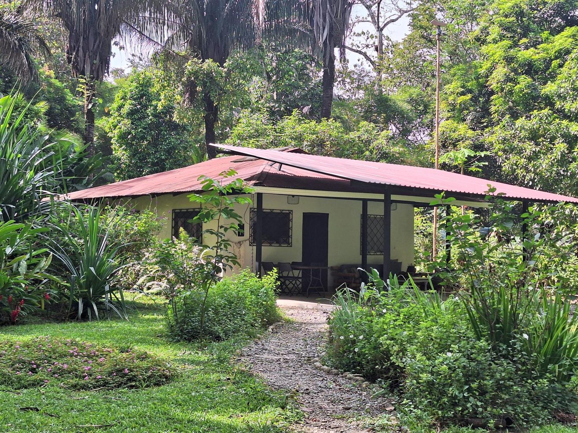 Four Monkeys Eco Lodge Jungle & Beach - The House Cabo Matapalo Exterior foto